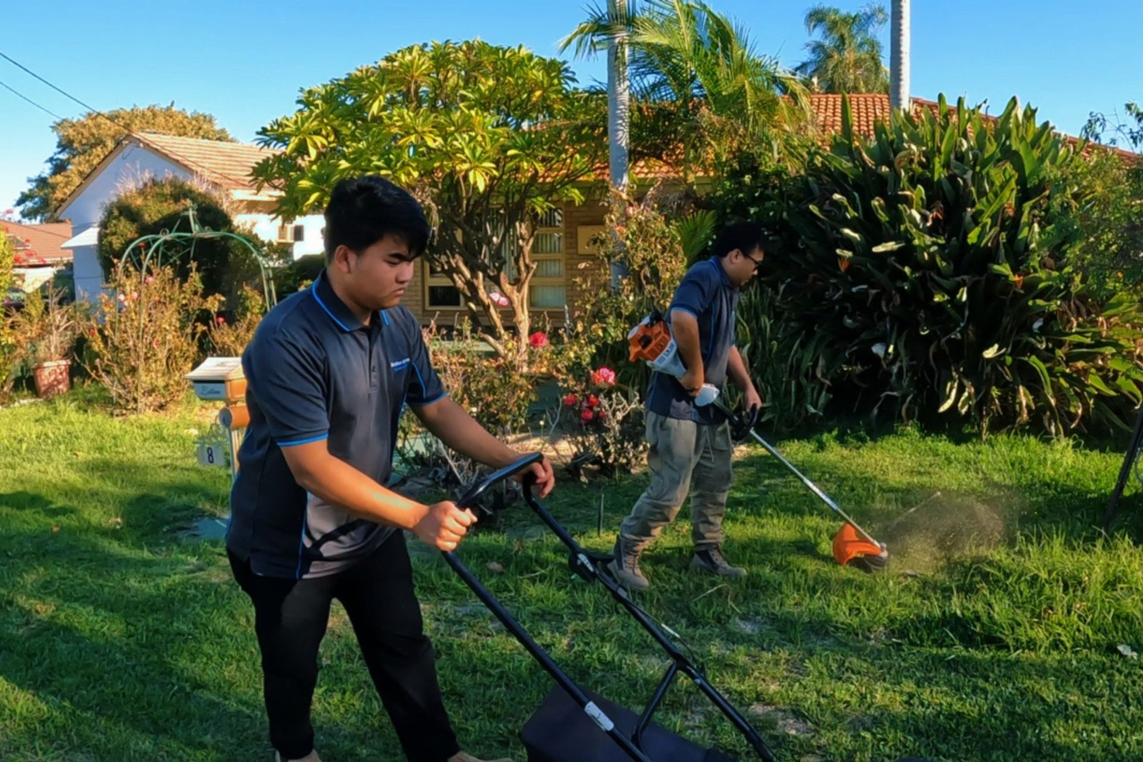 Cleaning Services In Cannington
